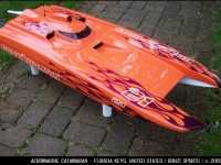 aeromarine_cat_orange_purple