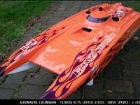 aeromarine_cat_orange_purple1