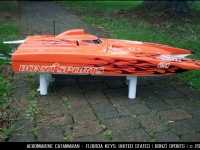 aeromarine_cat_orange_purple2